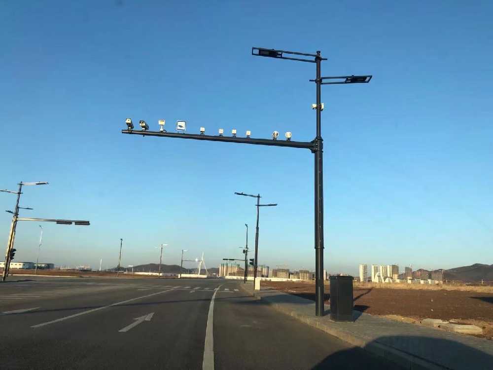 瑞安市黑龙江佳木斯综合路灯杆项目