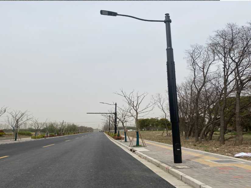 瑞安市上海综合杆 太阳能路灯工程